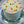 Specialty Cake - Order Ahead (Pickup Only)