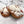 Fritters by the Half Dozen
